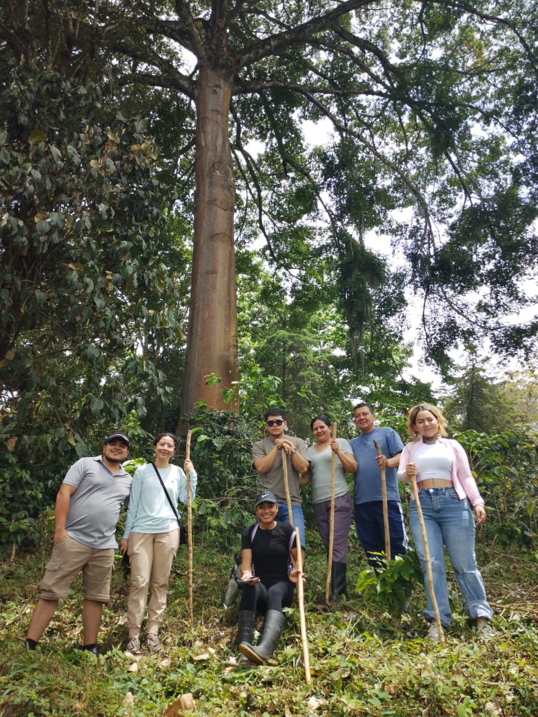 Sendero Matapalo