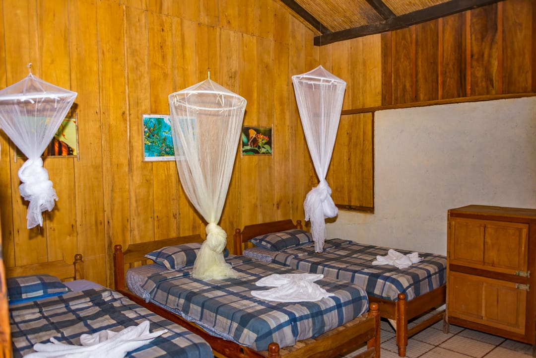 Paquete Todo Incluido La Sombra Ecolodge