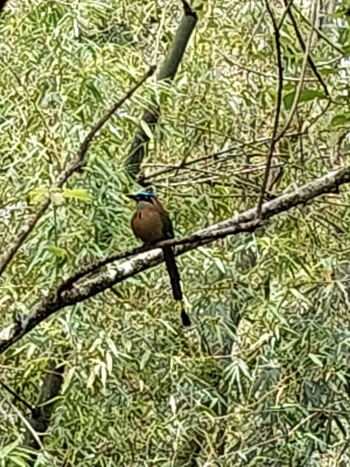 IMG-20260727-WA0741